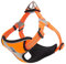 Hundegeschirr Reflektierende Sicherheitsweste für kleine mittelgroße Hunde TLH5991 (M, Orange)