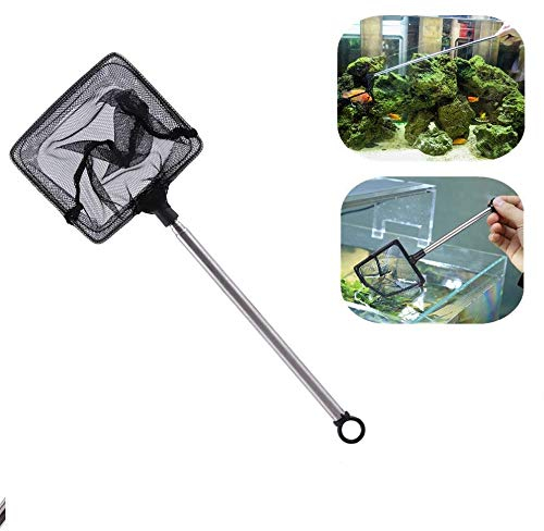 Aquarium Kescher Net Fangnetz Shrimp Net Fischnetz Aquarium Fischkescher Goldfischnetz Mini Einstellbare Teleskopfische Garnelen Kescher für Aquarium Fishbowlf(Quadrat)