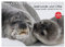 Seehunde und Otter. Putzige Gesellen, perfekte Schwimmer (Tischkalender 2025 DIN A5 quer), CALVENDO Monatskalender