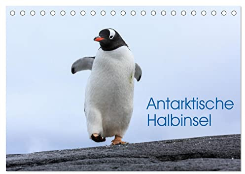 Antarktische Halbinsel (Tischkalender 2026 DIN A5 quer), CALVENDO Monatskalender: Tier- und Lanschaftsaufnahmen von der Antarktischen Halbinsel (CALVENDO Natur)