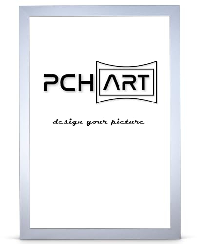 PCH[art] Bilderrahmen New Alaya | Farbe: Aluminium | Größe: 59,4x84 DIN A1 cm | zeitloser und schlichter Rahmen für Poster, Fotos und Portraits