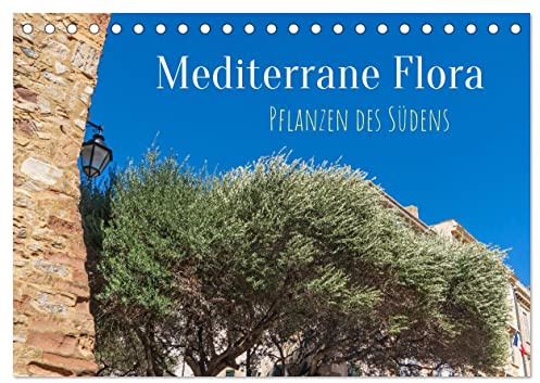 Mediterrane Flora - Pflanzen des Südens (Tischkalender 2026 DIN A5 quer), CALVENDO Monatskalender: Mediterrane Pflanzen prägen Städte und Landschaften am Mittelmeer (CALVENDO Orte)