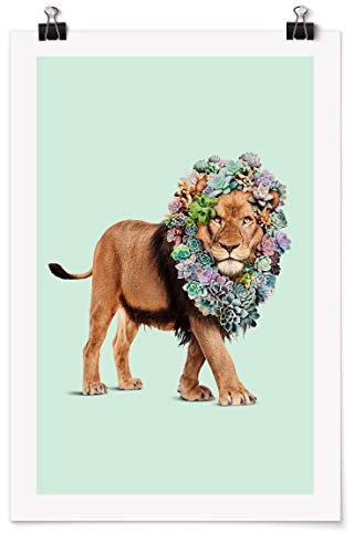 Bilderwelten Poster - Jonas Loose - Löwe mit Sukkulenten - Selbstklebend seidenmatt 45 x 30cm