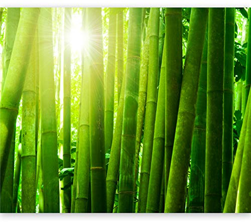 murando - Vlies Fototapete Bambus 150x116cm - Foto Tapete Schlafzimmer Wohnzimmer Moderne Vliestapete XXL Wandtapete Motivtapeten 3d Effekt Wand Dekoration - Natur Botanik Pflanze Sonne Sommer