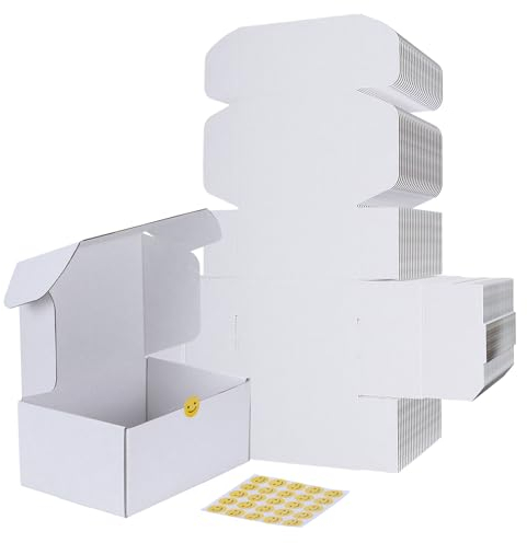 RLAVBL 25 Stück Doppelseitig Weiß Versandkartons, Maße: 22,9 x 15,3 x 10,2 cm, einfach zu montieren, Ideal für Kleine Unternehmen