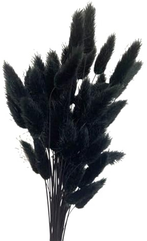 Aniyan 50 Stück Kaninchenschwanzgras Getrocknet Trockenblumen, Flauschige Bunny Tails Strauß, Lagurus Trockenblumen Deko für Vase Hochzeit Boho Wohnzimmer Tischdeko (Schwarz)