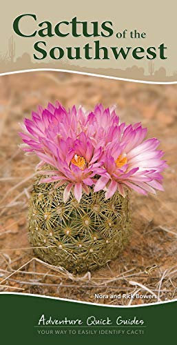Cactus of the Southwest