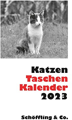 Katzen Taschenkalender 2023