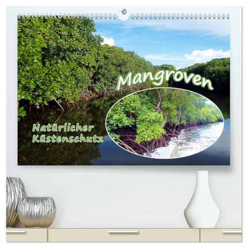 Mangroven - Natürlicher Küstenschutz (hochwertiger Premium Wandkalender 2025 DIN A2 quer), Kunstdruck in Hochglanz