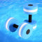 EVA Wasser-Aerobic, Aquatische Langhantel, Aqua-Fitness, Bürstenloser Regler, RC-Hantel-Zubehör, 30 A, 20 A, Schwimmbadübung