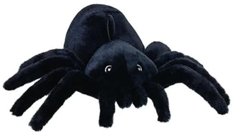 Beppe