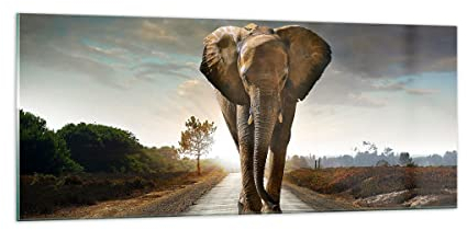 Panorama Bilder auf Glas 100x40cm Glasbild Elefant Straße Landschaft Groß Wanddeko Bild im Glas Schlafzimmer Küche Wandbilder Dekoration Wohnzimmer Modern Wall Decor Wand Kunstdruck Art GAB100x40-0214