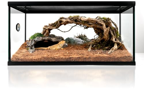 waazoorep Reptilien-Glastank, 50,8 x 30,5 x 25,4 cm, vormontiertes Terrarium für Schildkröte, Einsiedlerkrebse, Bartagame, Gecko, Eidechse, Schlange, Spinne, Fisch, Vogelspinne mit Belüftung oben und