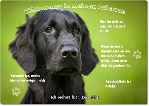 Merchandise for Fans Blechschild/Warnschild/Türschild - Aluminium - 15x20cm - - Willkommen in Meinem Zuhause - Motiv: Golden Retriever/Labrador Flatcoated Retriever - 05