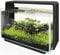 Superfish Home 65 in Schwarz