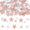 DazzJoy Glitzer Sterne Konfetti Silber Rosa Groß,200 Stk Glitzersterne Streudeko Weihnachten,Pailletten Stern Tischdeko Silvester,2 Größen Sterne Deko,Streusterne Konfetti Geburtstag Hochzeit Karneval