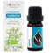 Essences Bulgaria Olio Essenziale di Achillea Biologico 10ml | Achillea millefolium | 100% Puro e Naturale | Non Diluito | Grado Terapeutico | Fattoria a Conduzione Familiare | Distillato a Vapore