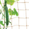 HOECMRHP Jute Ranknetz Gartennetze, 100% Biologisch Abbaubar, Pflanzenstütznetz für den perfekten Wachstum von Tomaten, Gurken und Erbsen Kletterpflanzen, Maschnweite (15X15cm), Größe: 2X5M