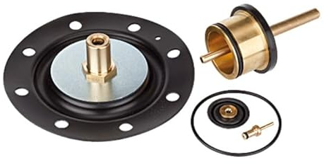 RIEGLER 101267-22.6203.4 Verschleißteilesatz, für Hochleistungsdruckregler, G 1 1/2, G 2, 1Stk