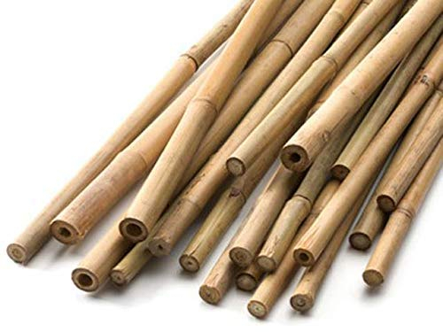 HomeZone 20pc 3ft Bamboo Canes For Tomato Plants 90cm Climbing Plant Support Sticks Heavy Duty Bamboo Sticks For Plants Sunflower Supports Tomato Sticks Climbing Plant Support Stakes