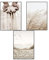 SWECOMZE 3er Premium Poster Set, Stilvolle Wandbilder, Boho Beige Natur Strand Pampasgras Kunstposter OHNE Rahmen, Print Bilder Wandposter Home Deko (Stil A,50 x 70 cm)