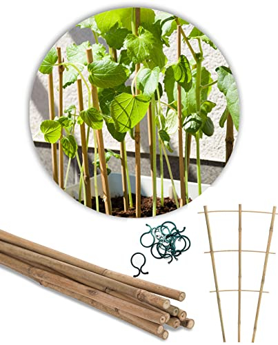 Novatool 5X Bambus Rankgitter hoch 45x17x12cm und 20xPflanzenclips I Bindedraht mit Abschneidevorrichtung Bambus Rankhilfe Rankgitter Balkon I Rankhilfe für Kletterpflanzen Rosen Zimmerpflanzen