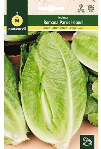 Mascarell Semillas, LECHUGA, Semillas Huerto, LECHUGA ROMANA PARRIS ISLAND, Crea tu Propio Huerto Urbano y Cultivo en Casa, Plantas Hortícolas, 6 Gramos