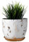 Tenloy Pot de Fleurs en marbre, de Style Nordique Moderne en céramique, Pot de Fleurs pour Plantes d'intérieur avec Trou de Drainage et Plateau en céramique pour Plantes succulentes, Cactus
