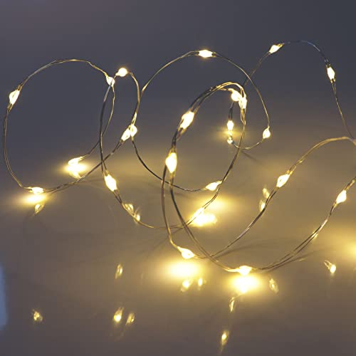 Micro LED String Lights, Warm White, Silver Wire Lights, with Timer Mode, Battery Operated Firefly Fairy Lights by Qbis (40 LED)