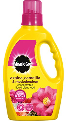 Miracle-Gro 1 Litre Azalea, Camellia and Rhododendron Liquid Plant Food