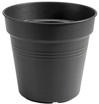 elho Green Basics Growpot 27 - Growpot for Grow your Own - Ø 27.0 x H 24.7 cm - Black/Living Black
