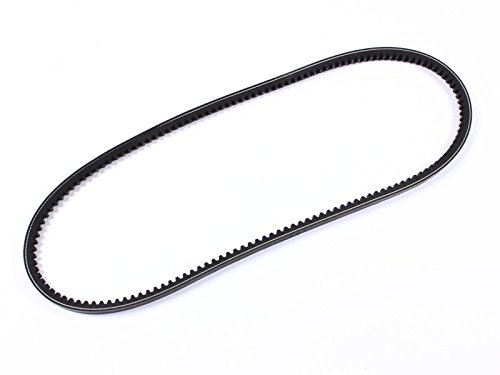 X-Parts Keilriemen 10 x 913 VW Bus T2 T3 T4 Erstausrüsterqualität 1118003000