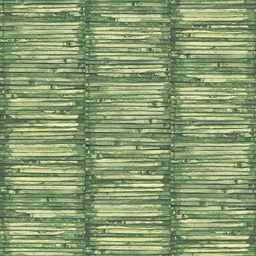 G56388 - Global Fusion Green Bamboo Galerie Wallpaper