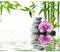 decomonkey - Papier Peint Panoramique Adhésif Orchidée 343x256 cm - Stickers Muraux Salon Chambre Déco XXL Autocollant - Vert violet gris - Pierre fleurs nature orienter les plantes l'eau zen