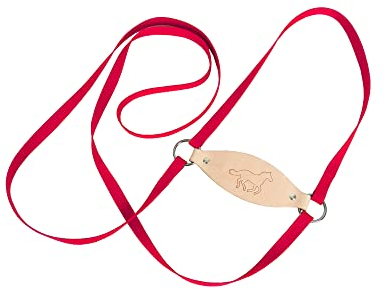Jamso Design Lotti Pferdeleine zum Spielen für Kinder I Rotes Pferdegeschirr für Kinder zum Spielen I Kinderleine ohne Glocken I Aus Leder & Gurtband