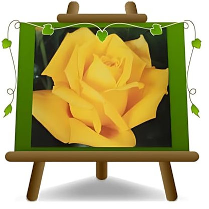 EURO PLANTS VIVAI Rosa a Cespuglio Grandi Fiori Colore Giallo Oro su Vaso 20 cm