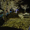 Jopassy 204 LED Lichternetz 3x2m,Warmweiß Lichterkette Netz, 8 Modi Lichterkettennetz Weihnachtsbeleuchtung Außen Lichtketten Lichtervorhang mit Stecker