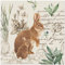 20 Servietten Tiermotive Hase an Schrift im Vintage-Stil als Tischdeko. Papierservietten mit Motiv. Auch für Decoupage und Serviettentechnik 33x33cm