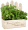 Herz & Heim® Geburtstags-Geschenk Pflanzkiste mit Personalisierung als Geschenkverpackung Kräutergarten, 23 cm x 27 cm x 10,5 cm (B/H/T)