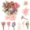 LAUMOE Trockenblumen, Getrocknete Blumen, Trockenblumen Zum Basteln Mini Trockenblumen Trockenblumen klein für Kunst Basteln DIY Harz Scrapbooking Handwerk Karten Mache