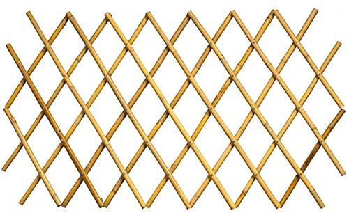 Celosía Barrera de Bambú Plegable para Jardín - Enrejado Extensible Decorativo Color Natural para Plantas Trepadoras (180x60cm)