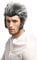 WIG ME UP - 91334-ZA63ATZA103 Perücke Herren Karneval Halloween Sturm Werwolf Wolf Wolfman Grau Schwarz Toupiert Koteletten