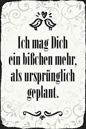 Blechschild 20x30cm Ich mag dich ein bißchen mehr als ursprünglich geplant Liebe Spruch Tafel