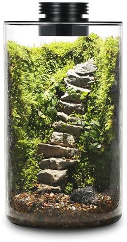 Tisch-Terrarium aus Glas mit Wachstumslicht (H: 24,9 cm, T: 15 cm), für Sukkulenten, Moos, Miniaturgartenlandschaft, Betta-Fischtank, Büro, Heimdekoration, Pflanzenliebhaber, Geschenke