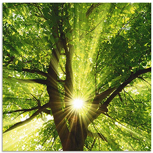 ARTland Wanddeko Wandbild Alu Verbundplatte für Innen & Outdoor Bild 40x40 cm Baum Sonne Botanik Zweige Sonnenstrahlen Sommer Wald T5GQ