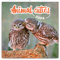 Jungtiere Wandkalender 2024 Kalender, Broschürenkalender mit Monatskalendarium, Broschurkalender Tierkalender 30 x 30 cm (30x60 Geöffnet)
