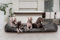tierlando® Goofy Easy CLEAN – Orthopädisches Hundebett aus Kunstleder mit Matratzenschoner – für mittelgroße und große Hunde Größe: 185x115cm Farbe: 02 Graphit