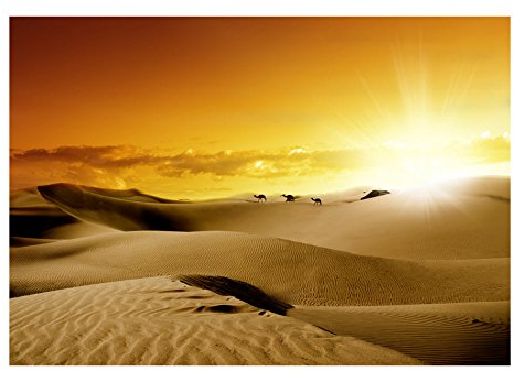 murando Fototapete Wüste 200x140 cm Vlies Tapeten Wandtapete XXL Moderne Wanddeko Design Wand Dekoration Wohnzimmer Schlafzimmer Büro Flur Sand Natur Landschaft Dünen Sandwüste Afrika