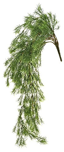 FloristryWarehouse Springeri Spargelfarn, künstlich, 61 cm