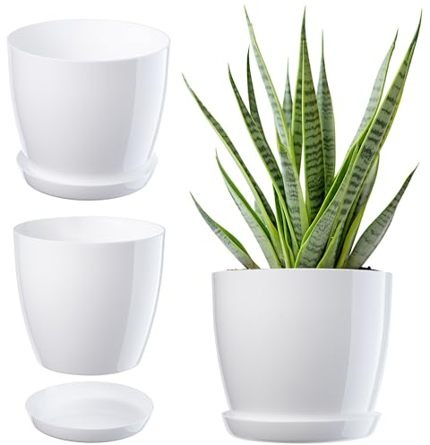 Kadax Flowerpot, fioriera con sottobicchieri, secchio di fiori rotondi per all'interno, elegante pentola di piante fatta di plastica, fioriera per fiori, piante, casa, (Ř 14 cm, bianco)